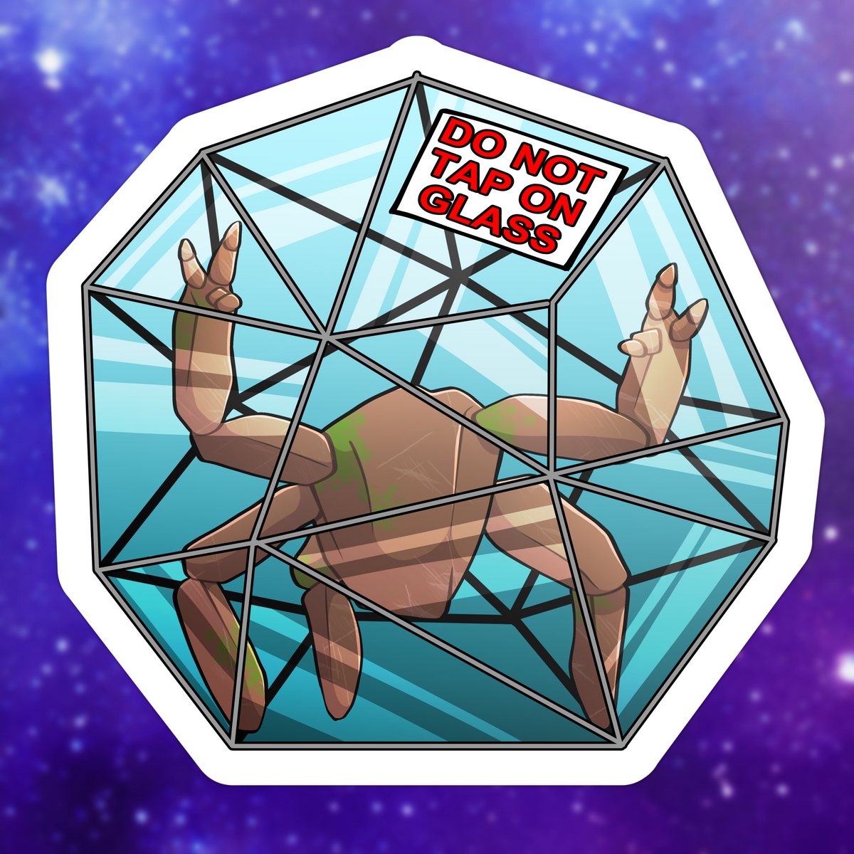 Project: Hail Mary - Do Not Tap on Rocky!